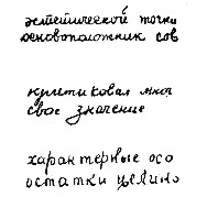 Ris_41